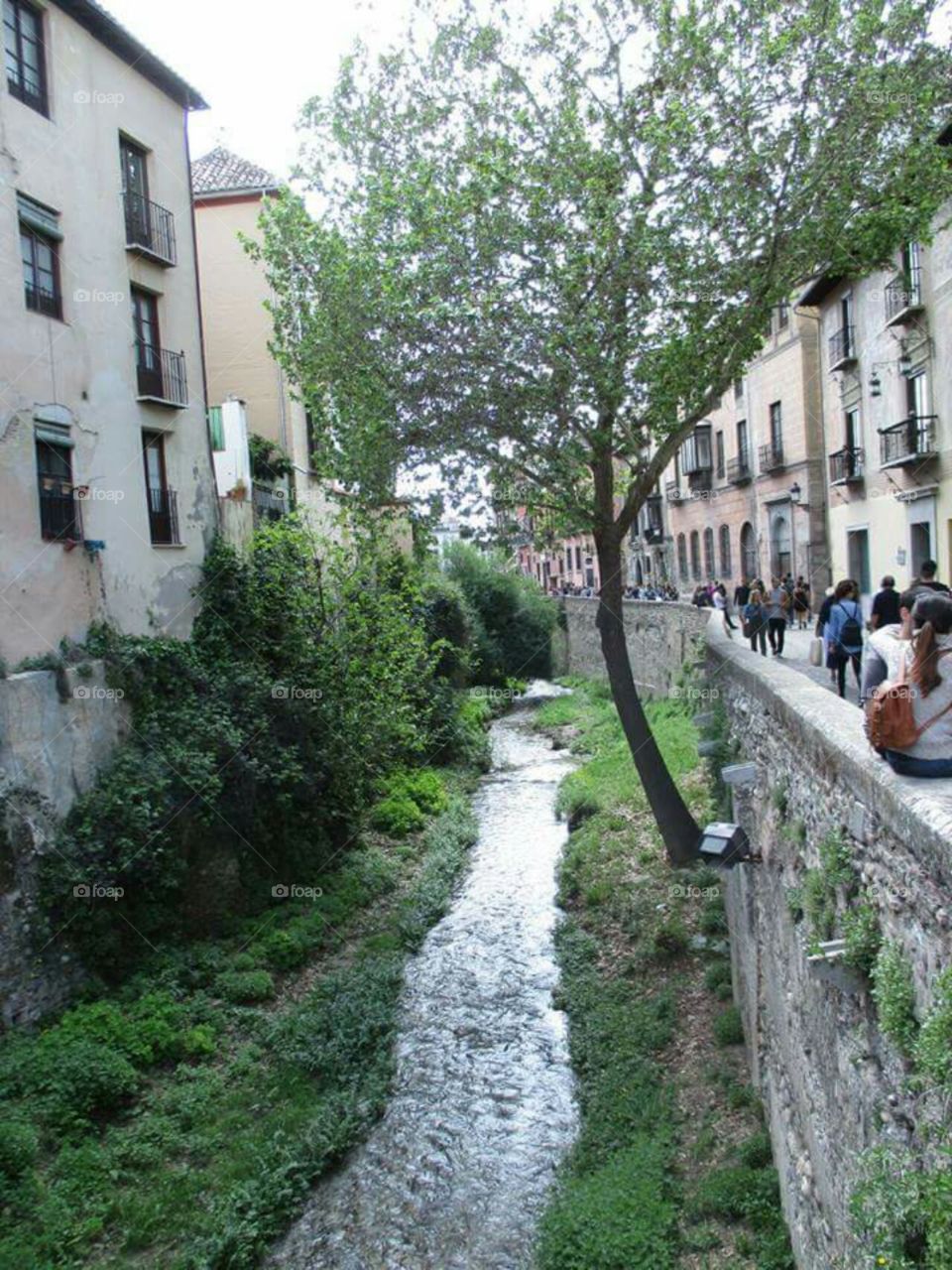 Darro, Granada