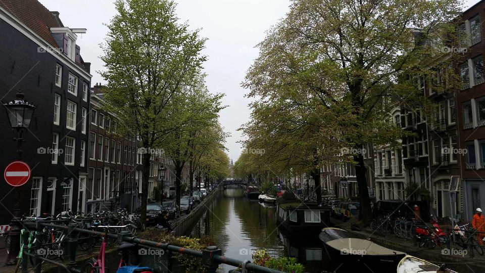 Canal, boats, bicycles, cars, and trees in Amsterdam, Netherlands.