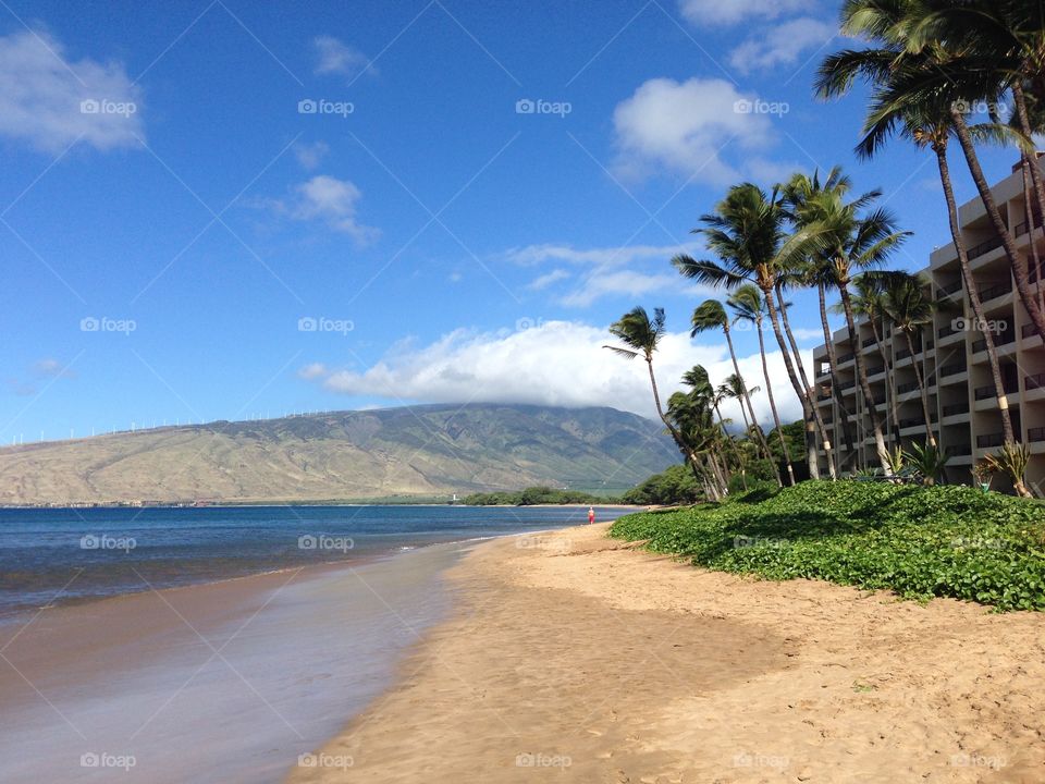 Maui Ocean view resort