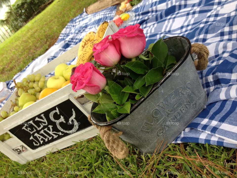 PicNic, fruits and flowers