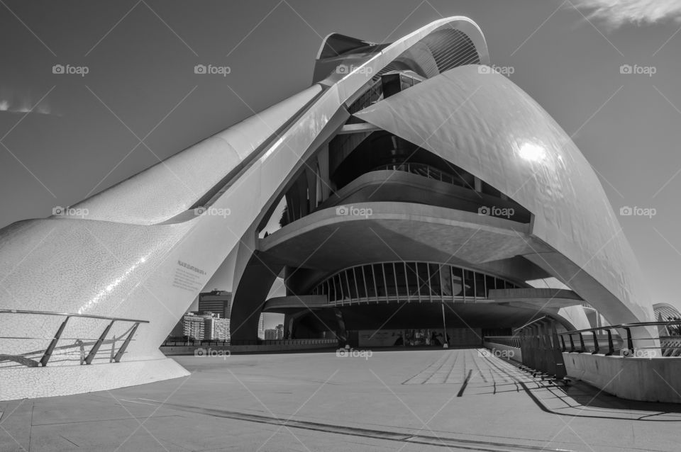 Palacio de las Artes Reina Sofía, Ciudad de las Artes y las Ciencias (Valencia - Spain)