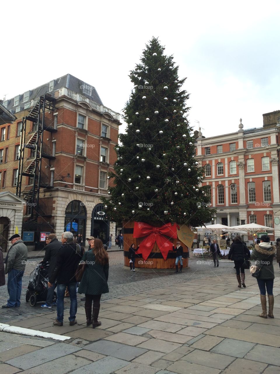 Tree in the square 