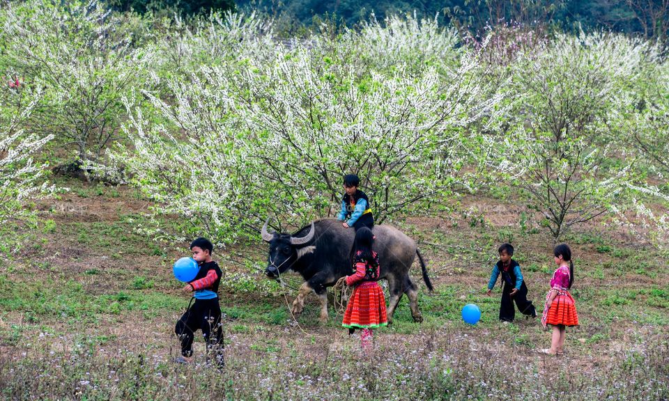 Spring garden with the Childrens and balloons