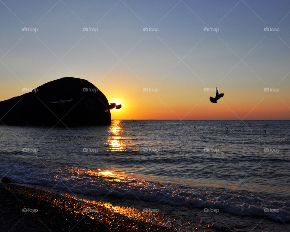 Sunset, Sea, Beach, Ocean, Water