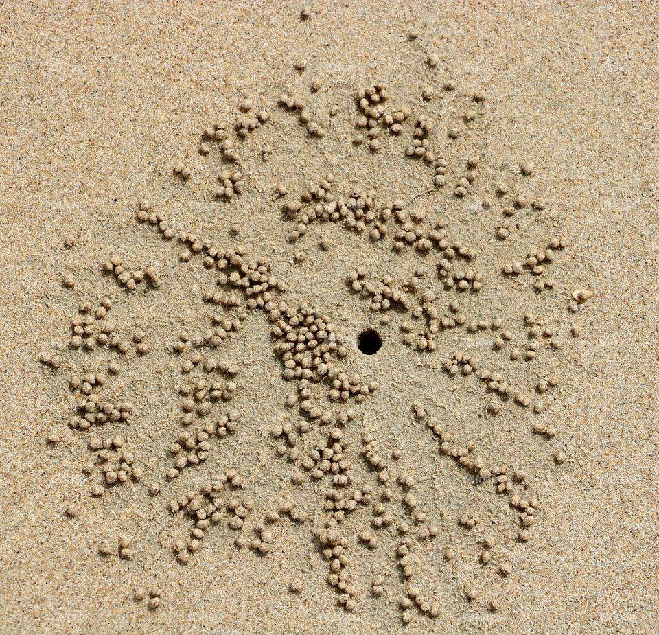 Sand in Thailand on the beach, untouched by humans. Little crabs or sea urchants make these cool shapes in the sand.
