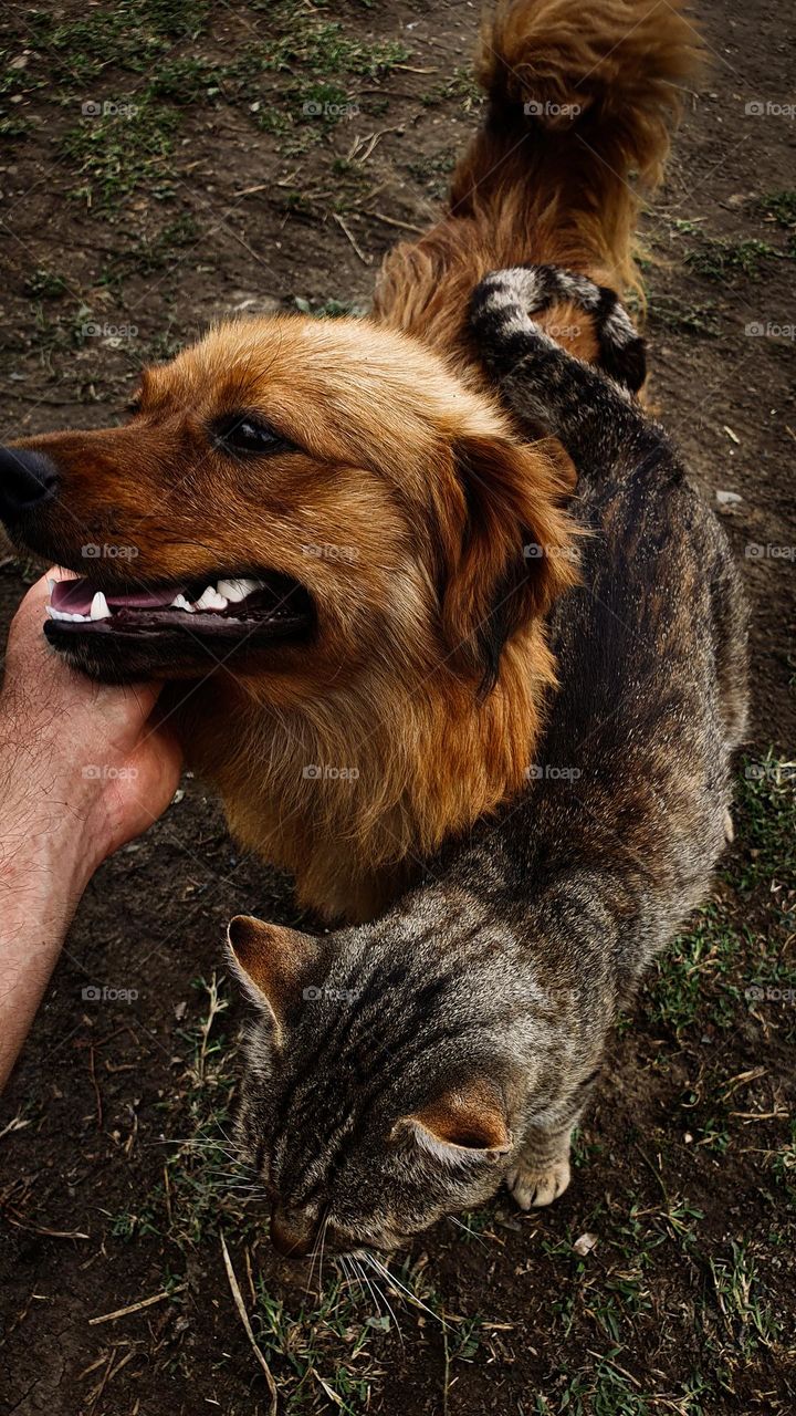 Small gestures of affection can make all the difference in someone's day