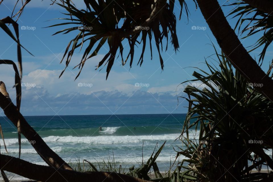 Surfer through the trees