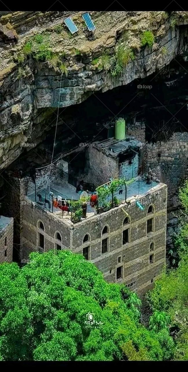 A very beautiful picture, and there is no better picture than it. There is no better picture of green herbs and colorful, red and white roses than it. Glory be to God, the natural and picturesque view, and there is no more