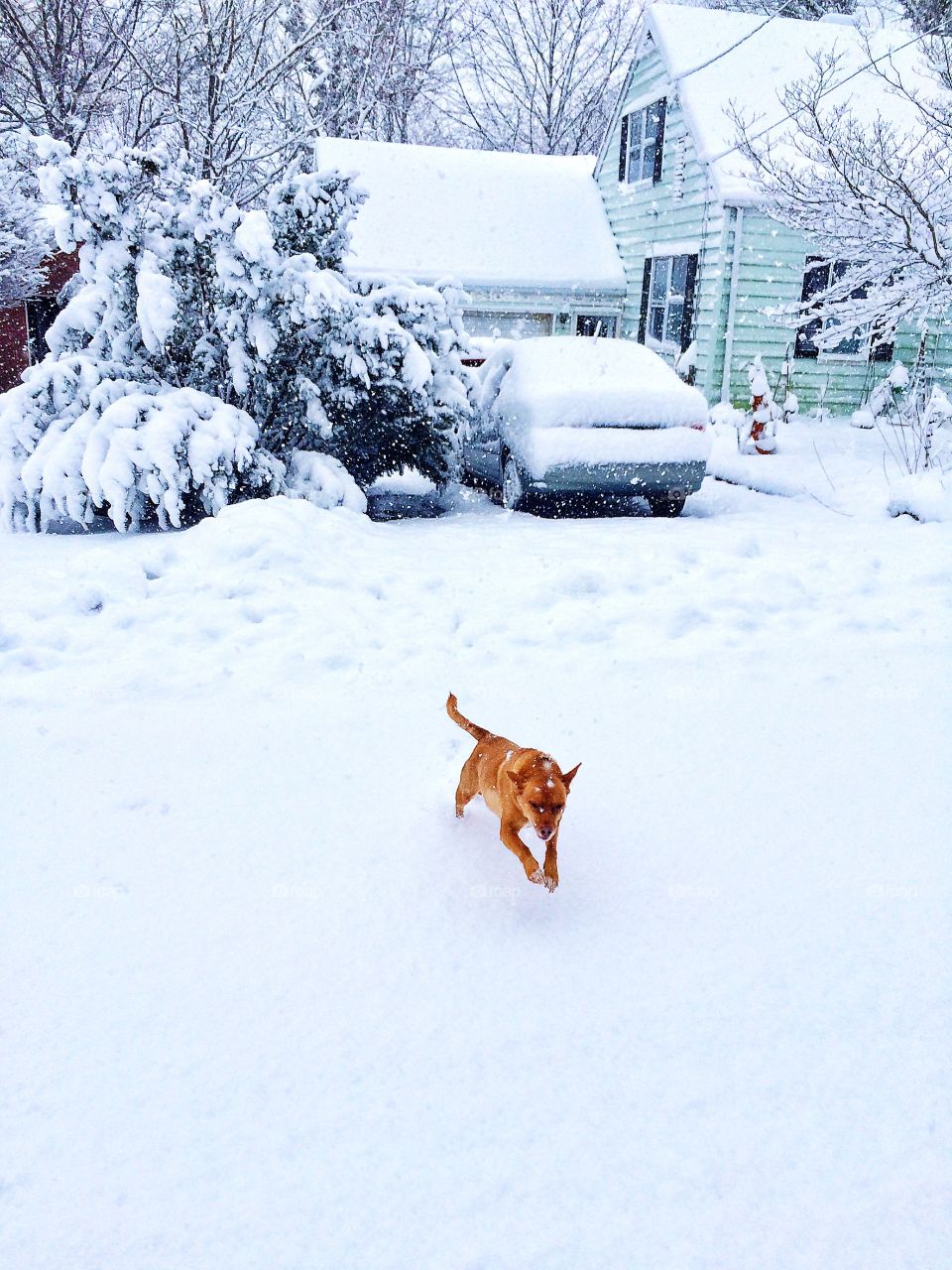 Winter Storm Barbara