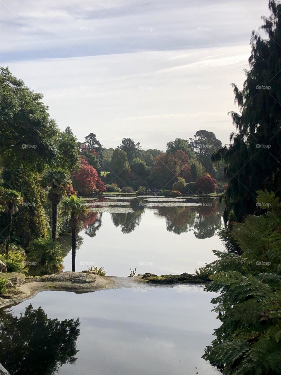 Autumn lake reflections