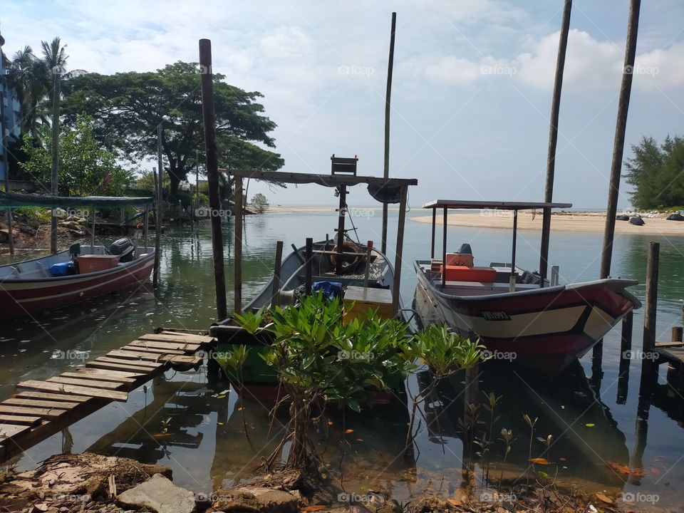 Snake River Island 🏝️