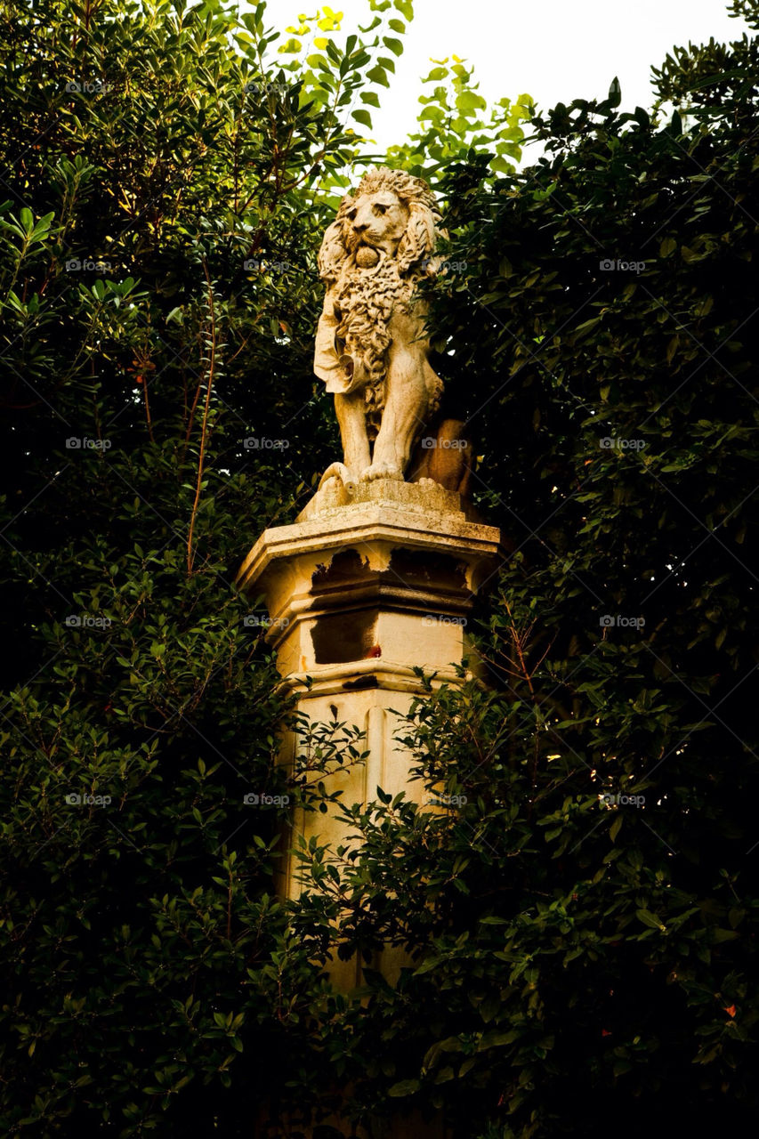 venice tree statue trees by Sheldonsteere