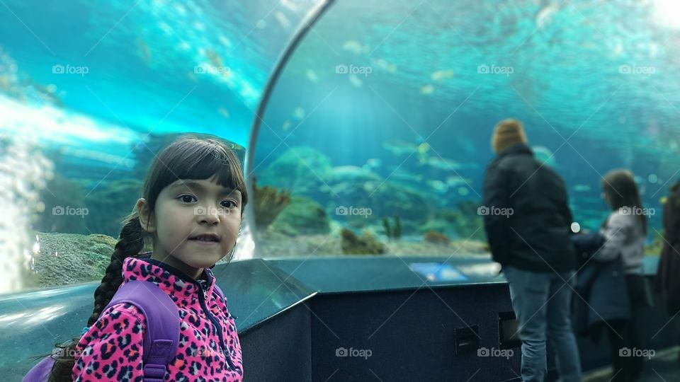 Visit to aquarium