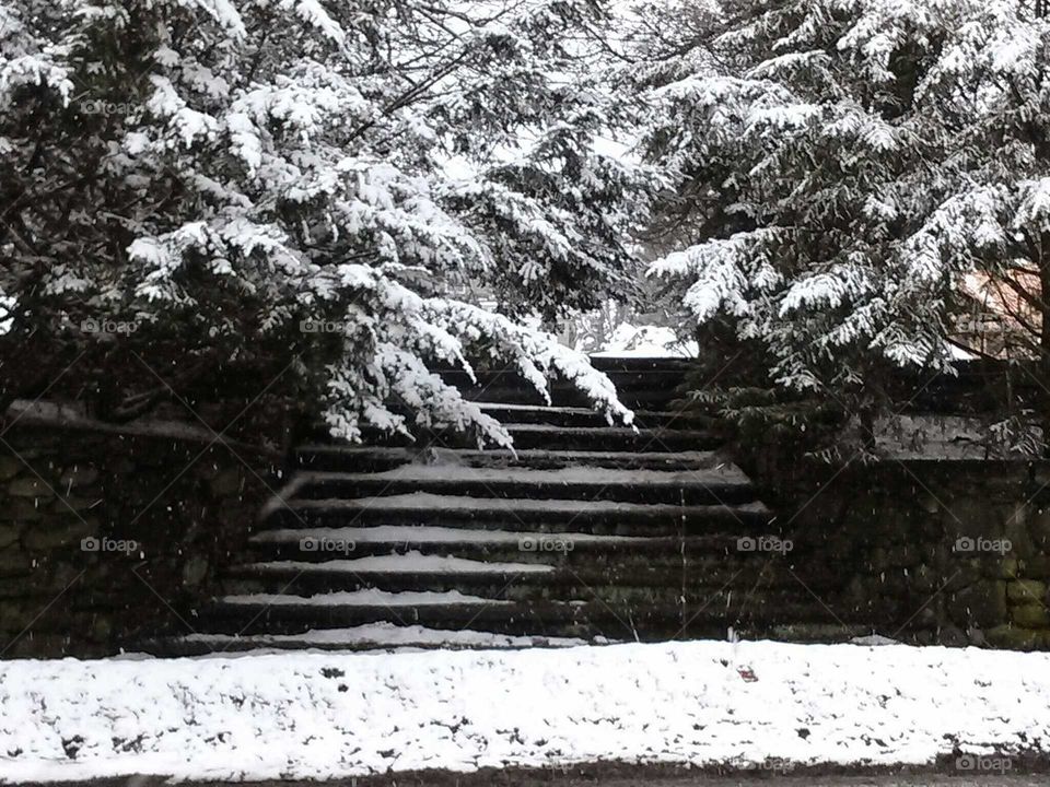 snowy stairs