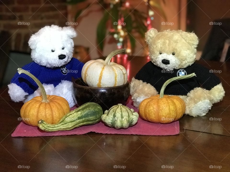 Teddy Bears and Pumpkins