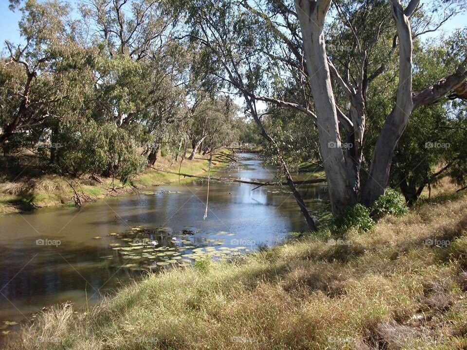 Swing over river