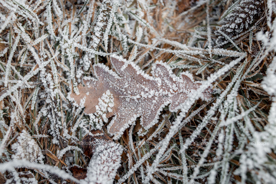 Frozen nature use up