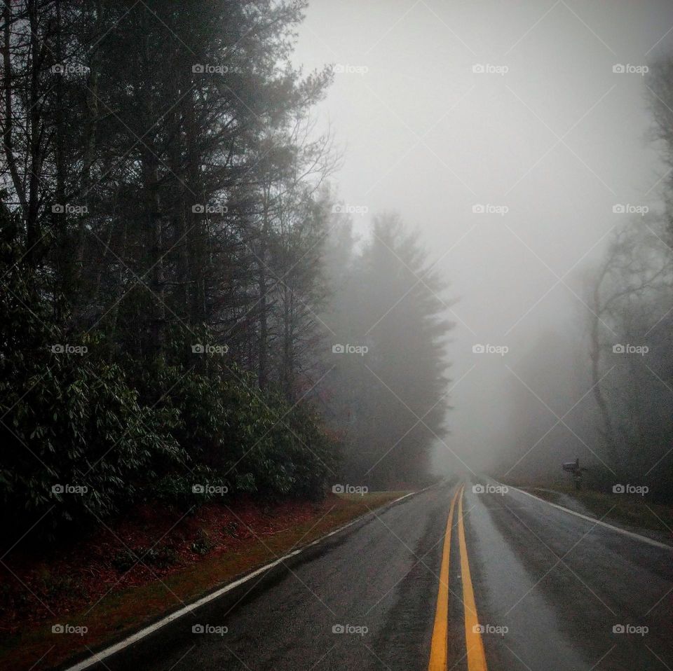 Misty mountains cold