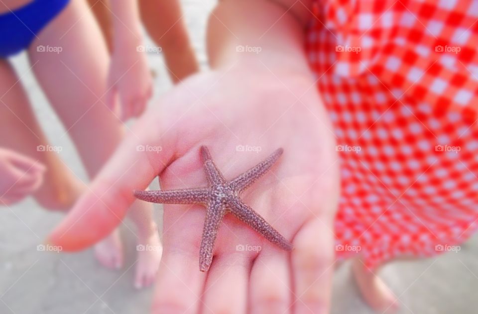 A tiny starfish in a hand.