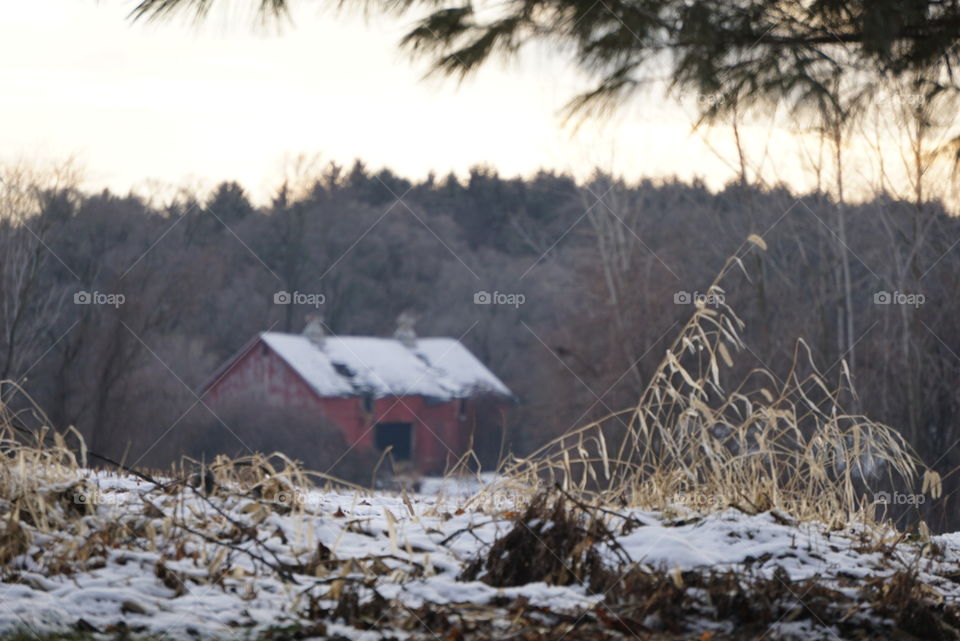 Rustic, red barn on the horizon. 