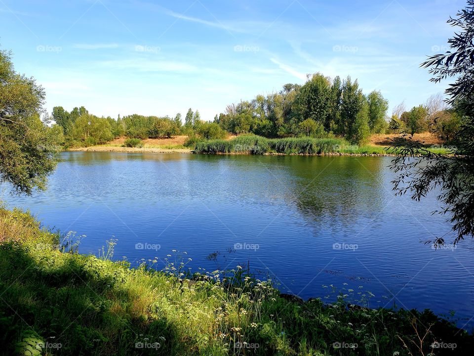 Flüss im Dettelbach