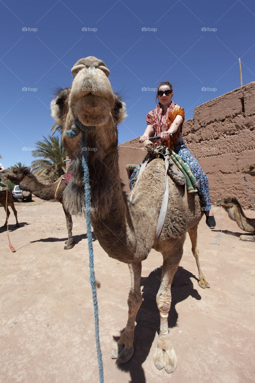 Young girl on a camel