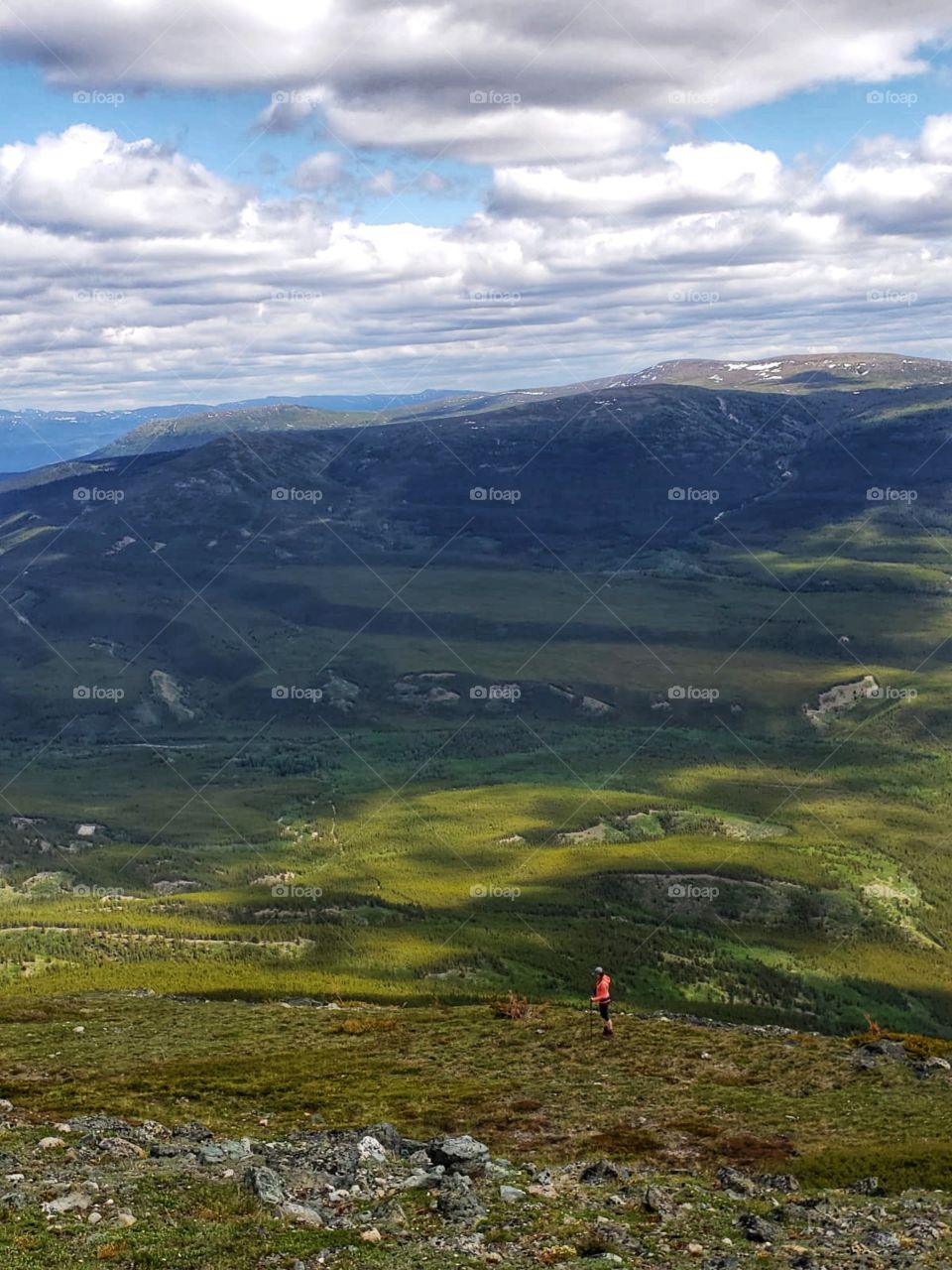Cloud shadows on the forest valley below