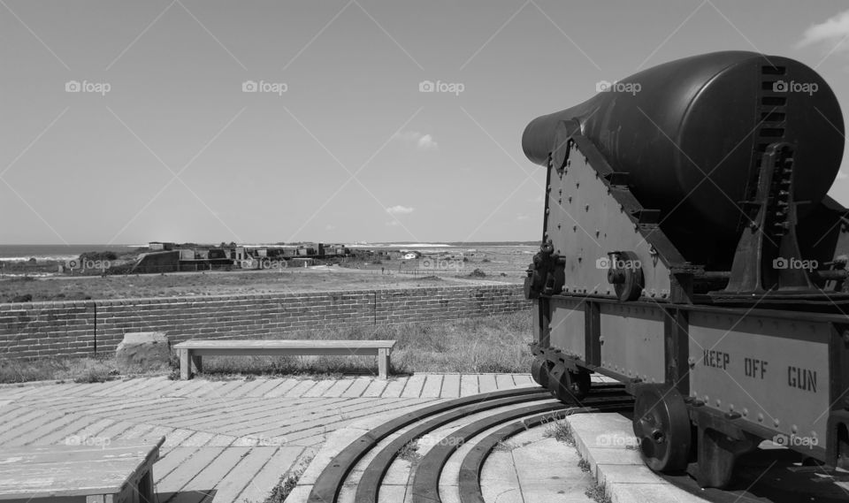 cannon grayscale