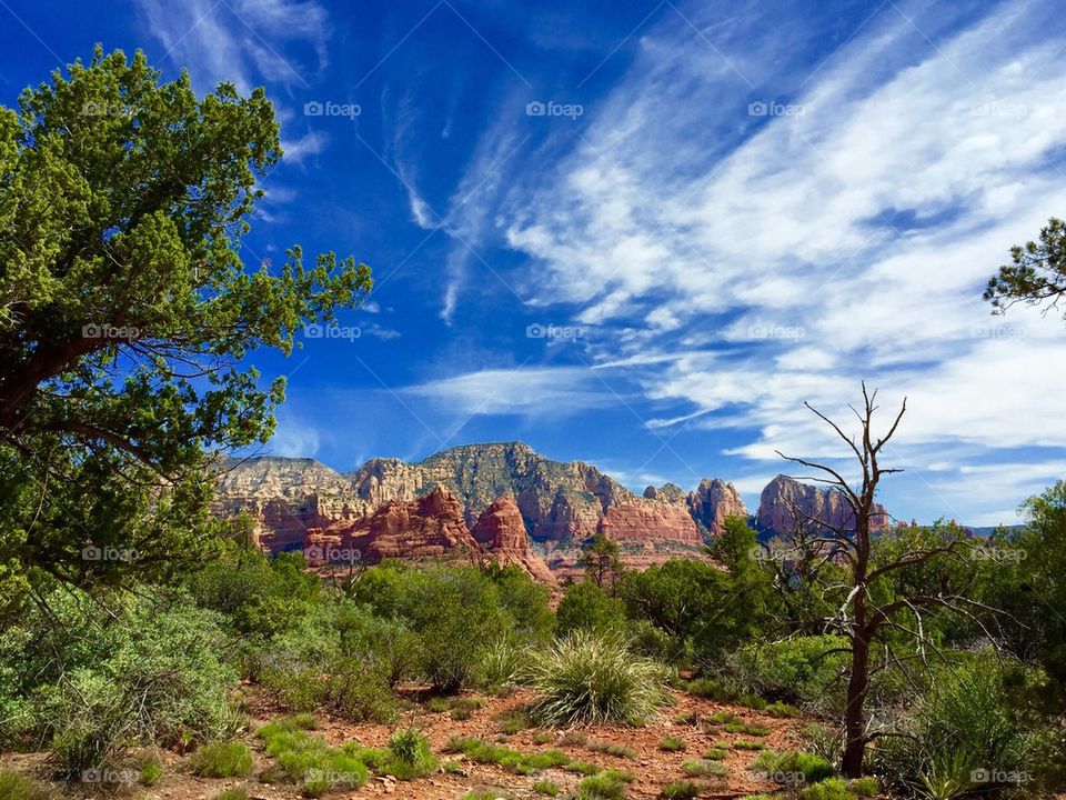 Red Rocks Sedona