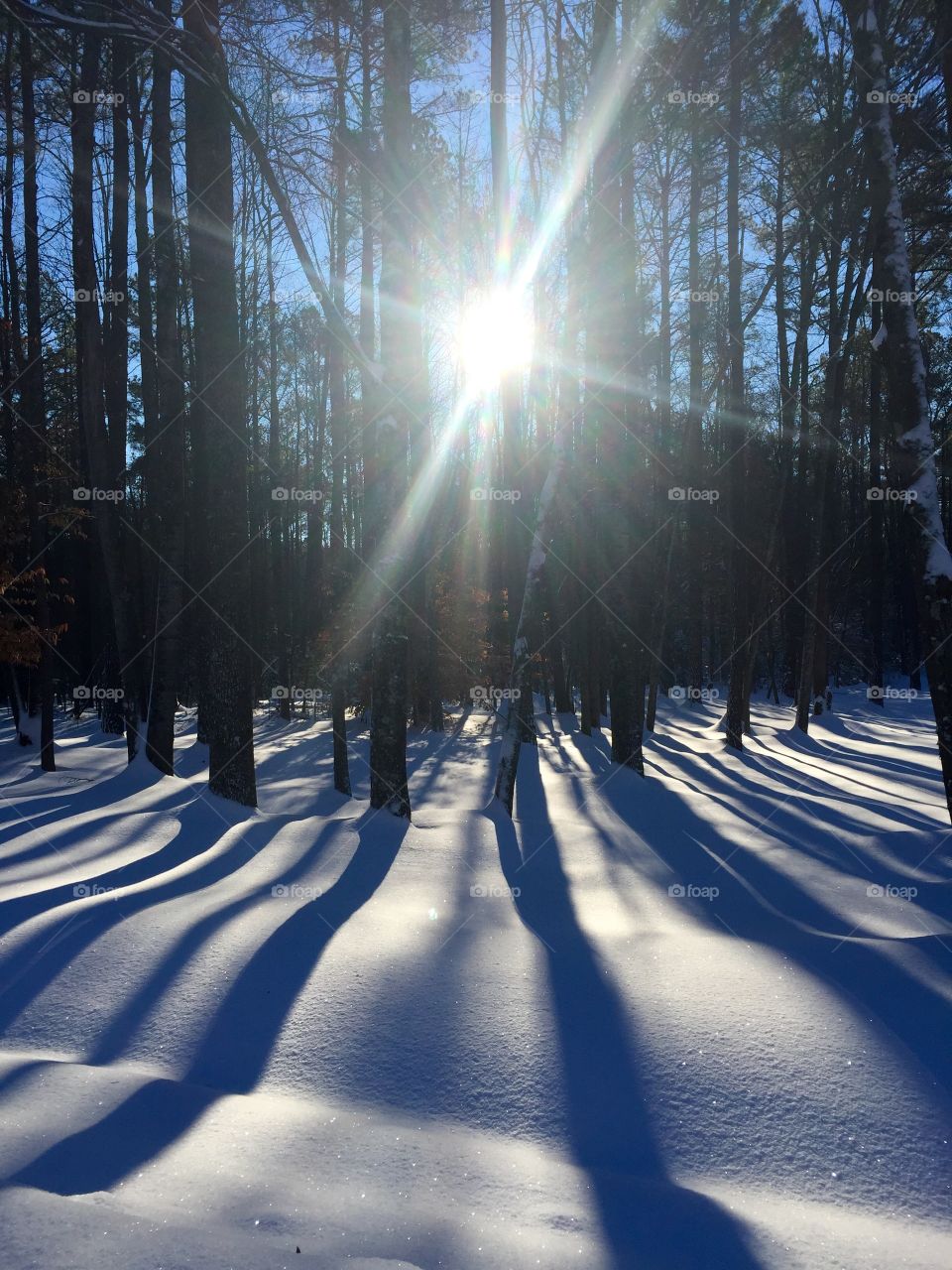 Sun-kissed Snow & Shadows