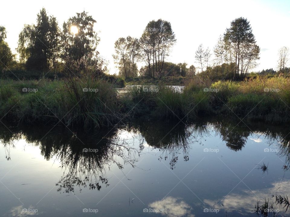 Reflections from the dike and slough. Reflections from the dike and slough