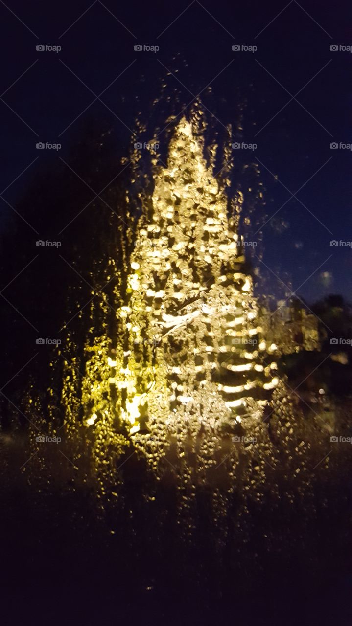 Tree reflection off win