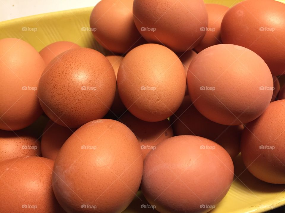 Egg, Chicken, Easter, Cholesterol, Poultry