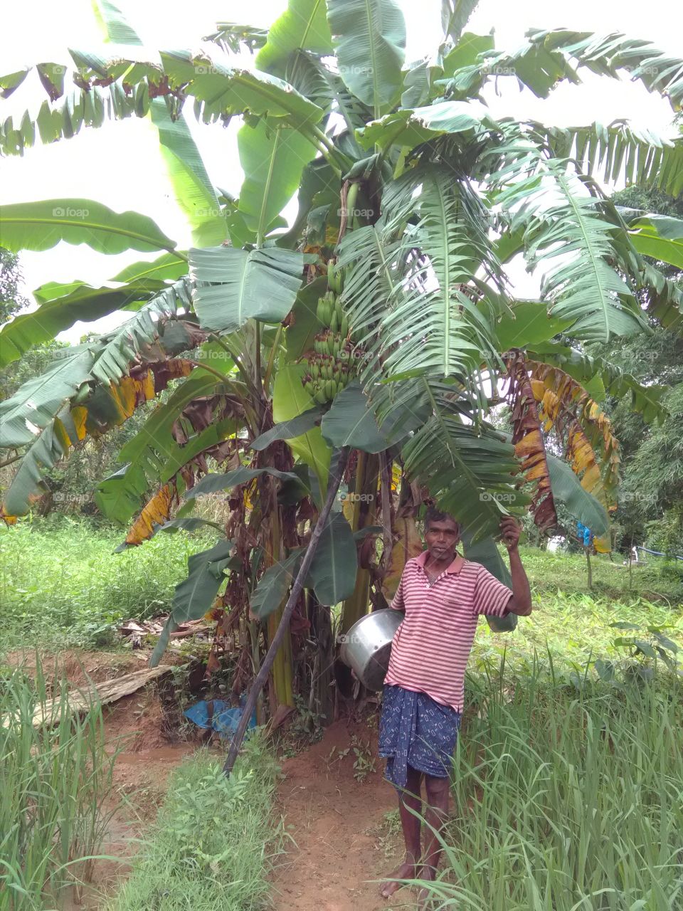 Peuple in small business