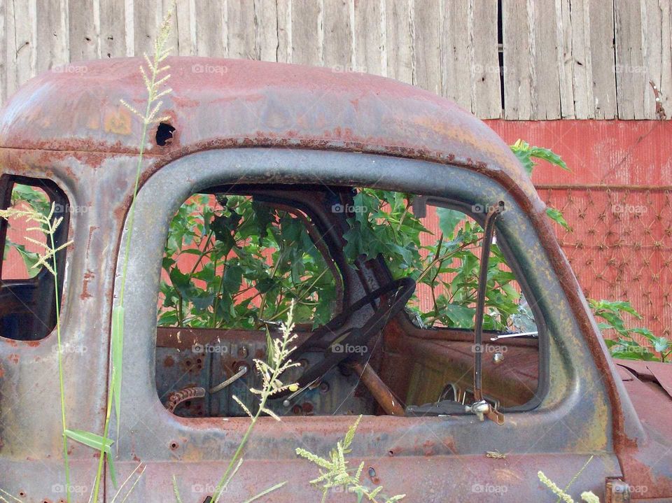 out to pasture