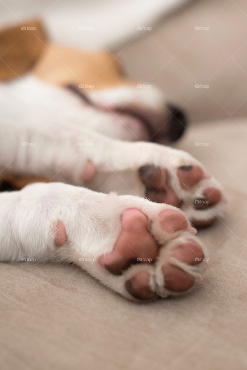 One, Sleep, Baby, Indoors, Bed