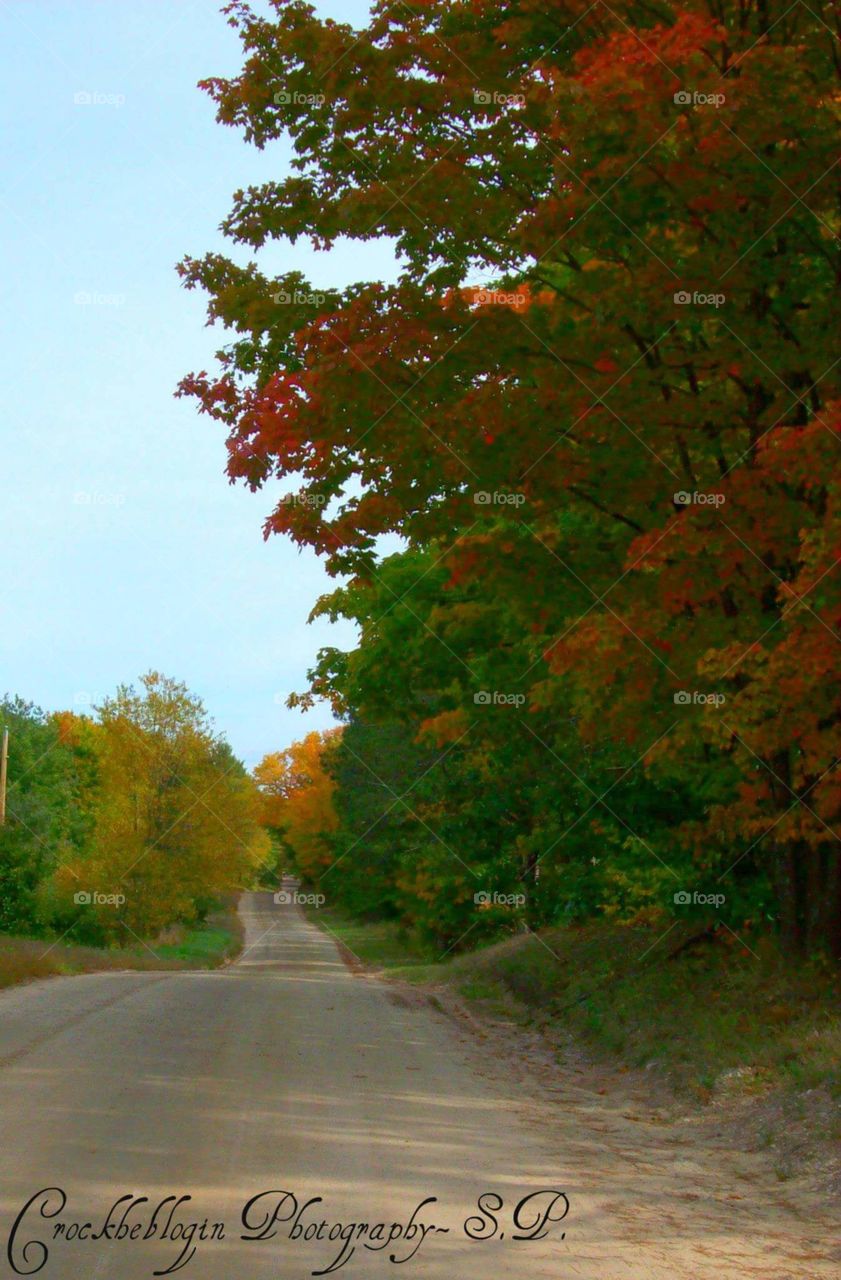 Fall at its best on West decker road: in northern Michigan mid October is a breathtaking month, the colors of autumn  pop and the oranges, yellows and reds spread across the country side like a wild fire west decker has been widely known in mason county making it on the Ludington visitors guide along with the Ludington daily news paper on numerous occasions. This is just a peek at that beautiful road.