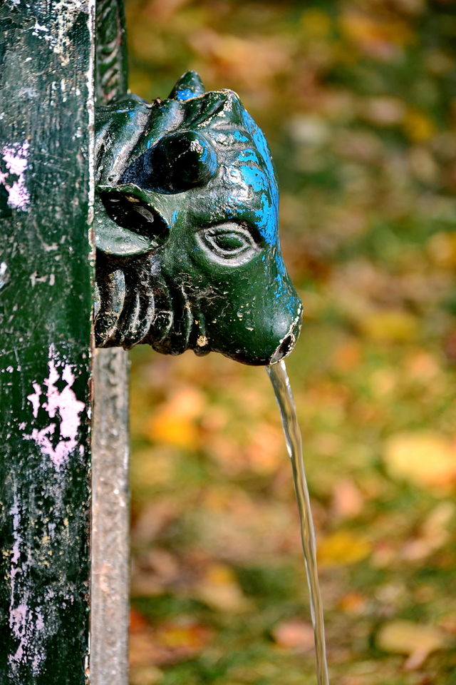 autumn in the city
