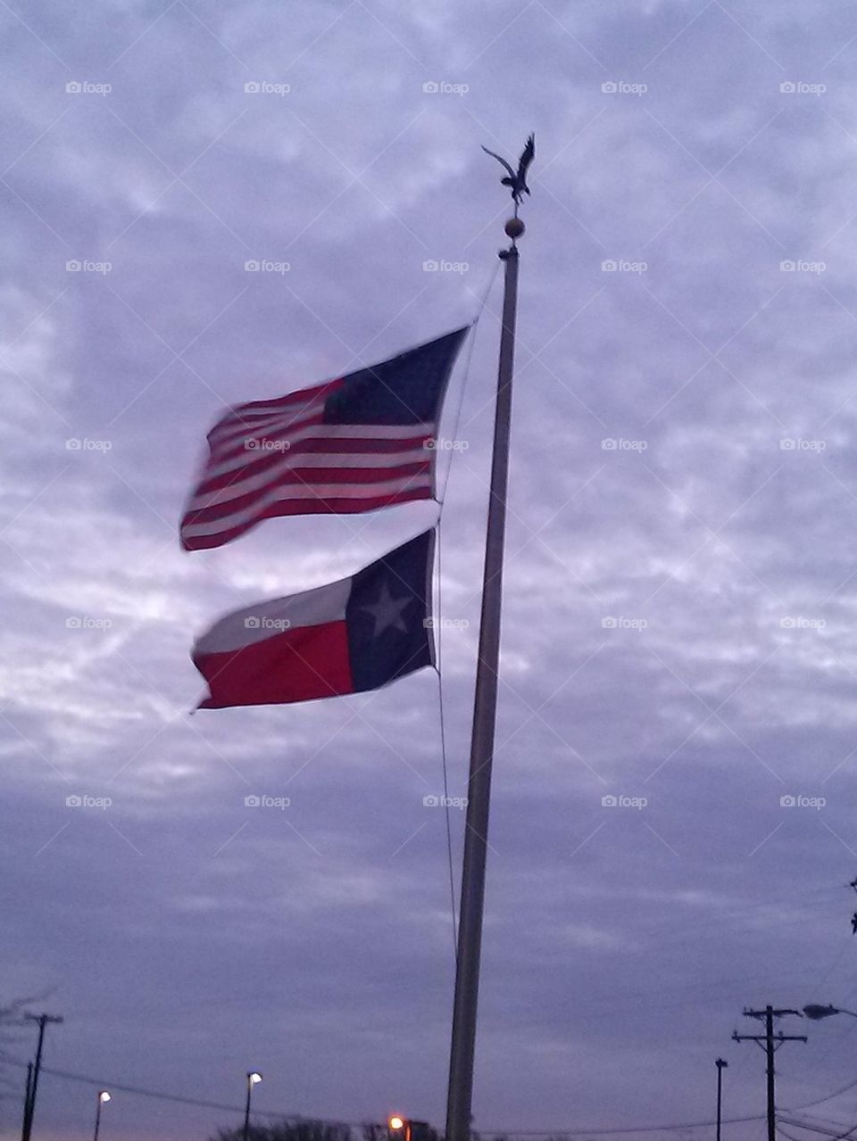 U.S. and Texas flags