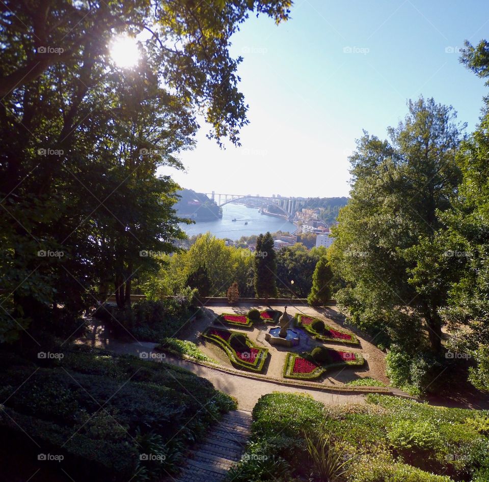 High angle view of a park