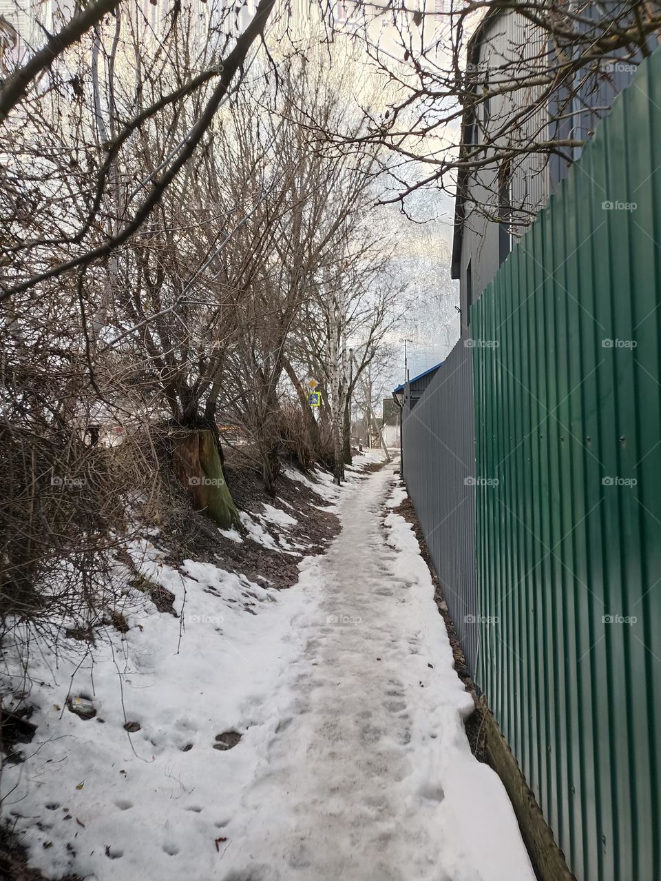 The path along the fence