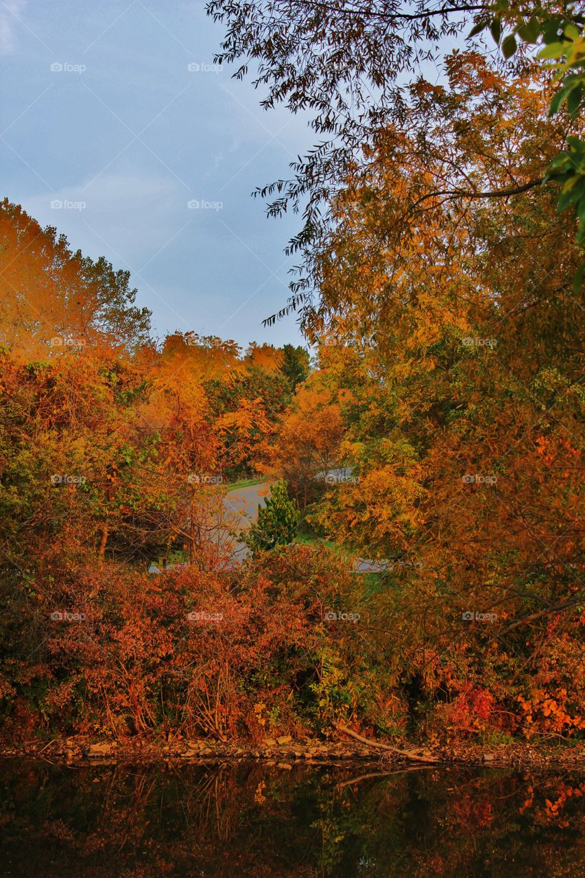 Autumn road 