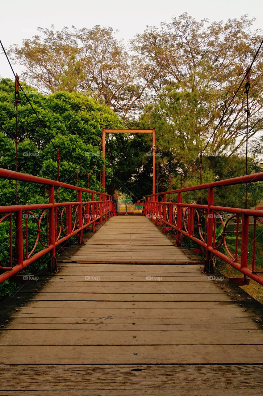 Bridge to my city park