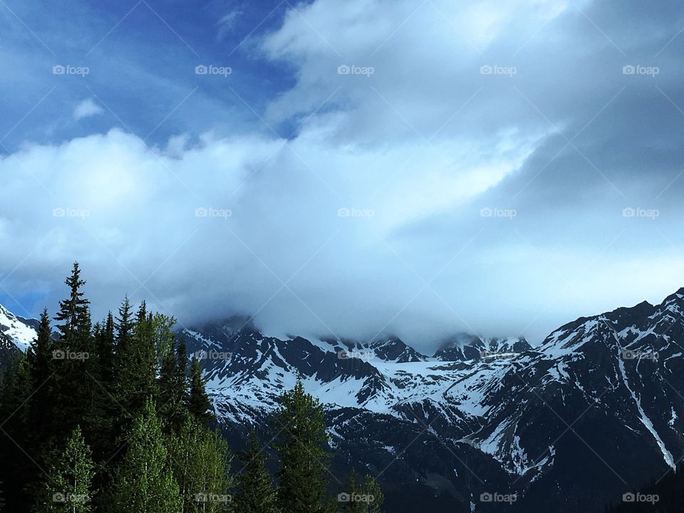 Canadian Rocky Mountains in spring fog 
