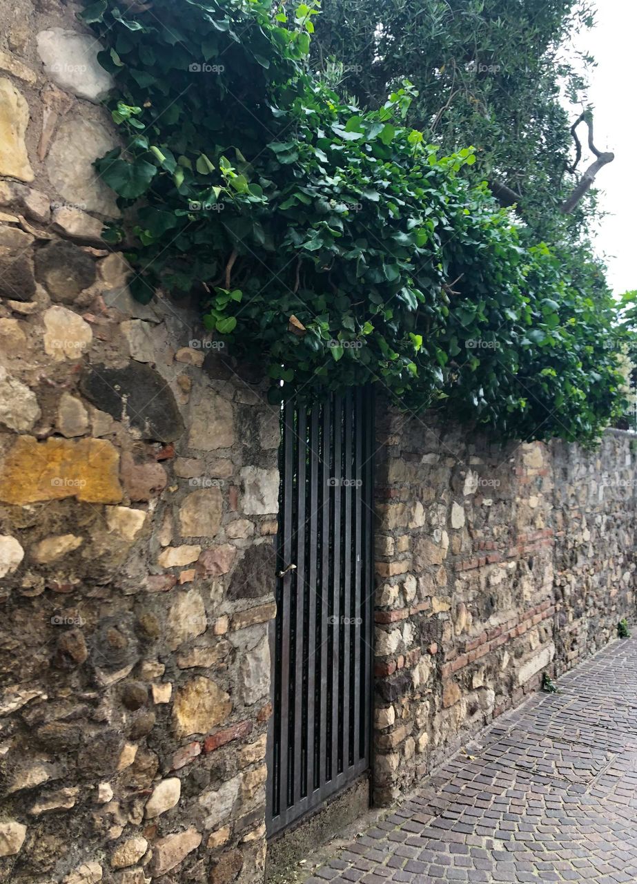 Stone fence with metal door and green plant Sirmione Italy 