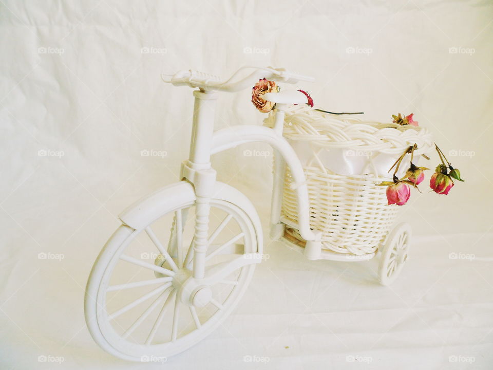 decorative toy bike and dried rose buds