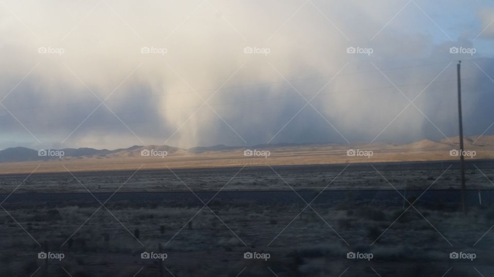 fog goomers with their noses hanging down