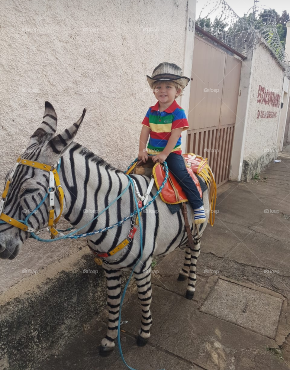 child took a walk on the zebrinha