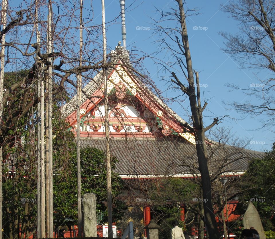 Asakusa, Tokyo, Senso-ji Temple Grounds.