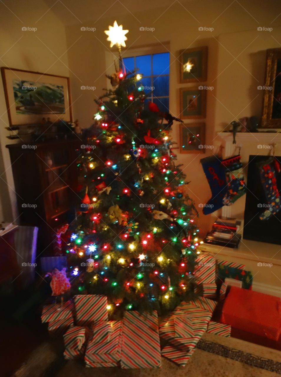 Family Christmas Tree
